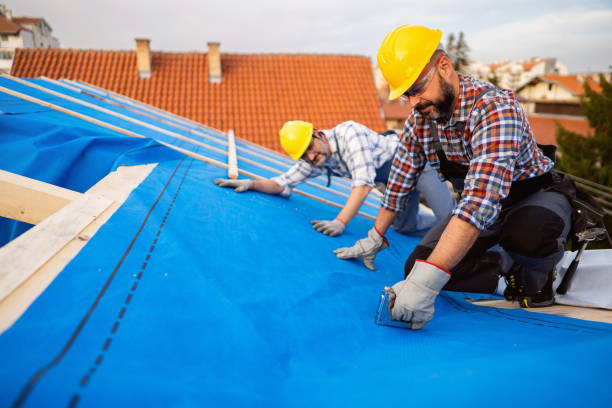 Best Chimney Flashing Repair  in Neosho, MO